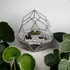 Kép 3/5 - Geometrikus formájú üveg florárium - Diamond - Kézműves ajándék ötlet