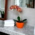 Kép 5/5 - Trendi otthoni dekoráció - Üveg orchidea kaspóban örökvirág